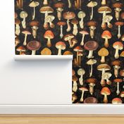 vintage hand drawn botanical fungus cabincore mushrooms double on black- Nostalgic  Autumn home decor, antique Psychadelic  Mushroom Wallpaper wallpaper,Antique mushroom fabric,mushrooms fabric