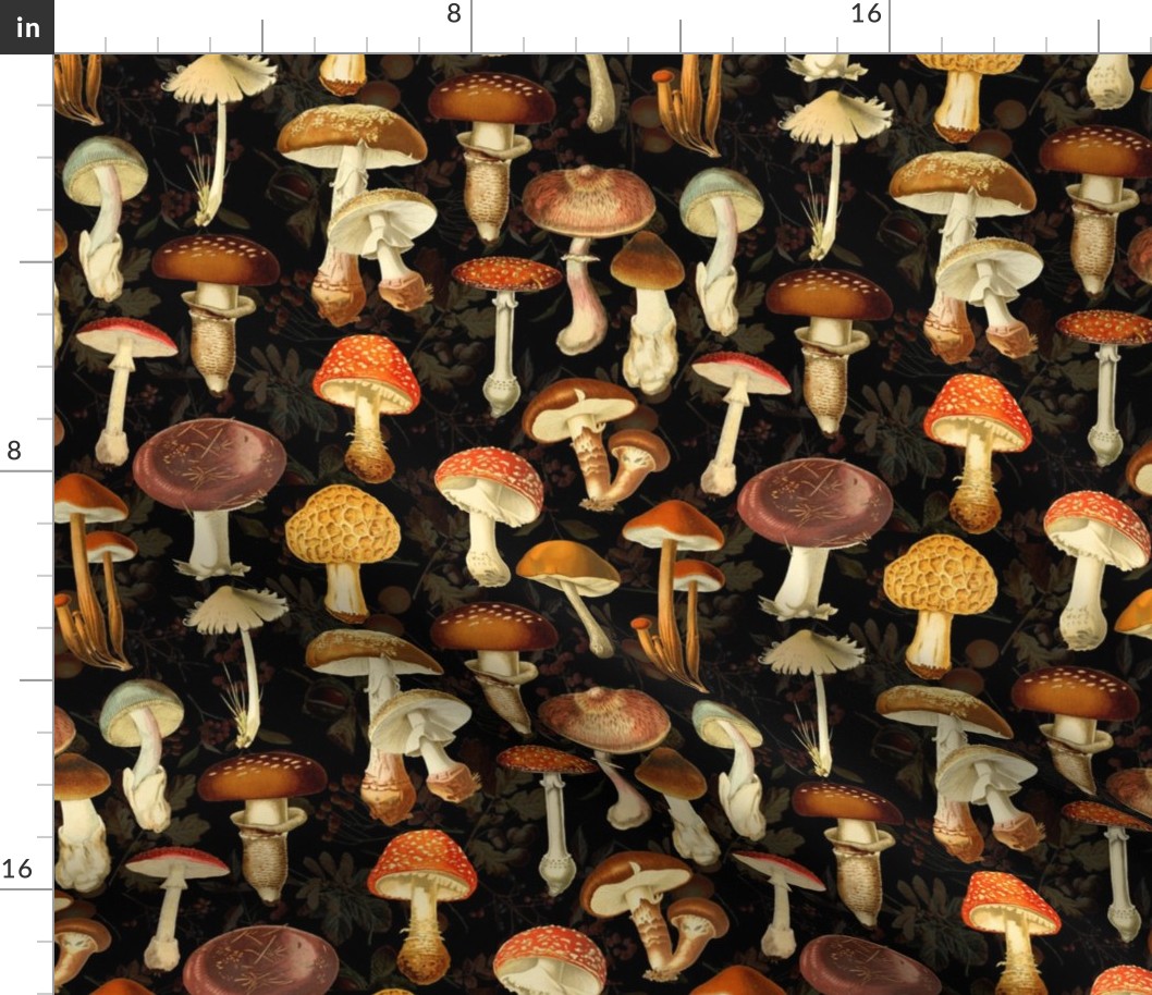 vintage hand drawn botanical fungus cabincore mushrooms double on black- Nostalgic  Autumn home decor, antique Psychadelic  Mushroom Wallpaper wallpaper,Antique mushroom fabric,mushrooms fabric