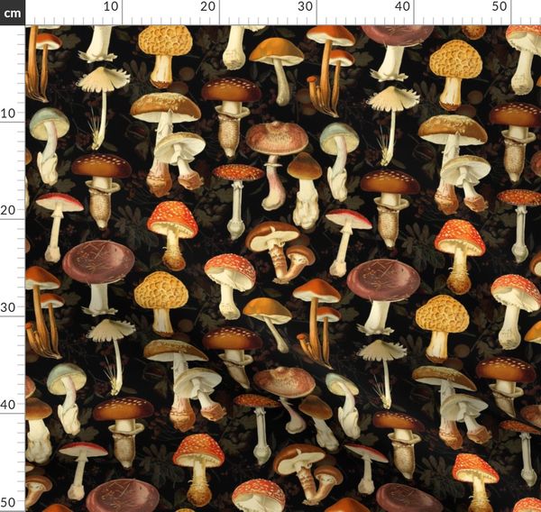 Mushrooms 10 X Wooden Craft Shapes