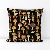 10” vintage hand drawn botnical fungus mushrooms on black-Antique Psychadelic  Mushroom Wallpaper fabric,mushrooms fabric