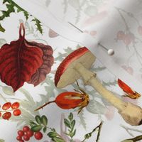 10" vintage botanical wildflowers fungus and berries on white Psychadelic  Mushroom Wallpaper