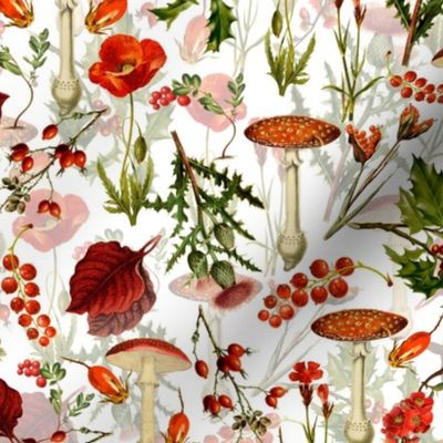 10" vintage botanical wildflowers fungus and berries on white Psychadelic  Mushroom Wallpaper