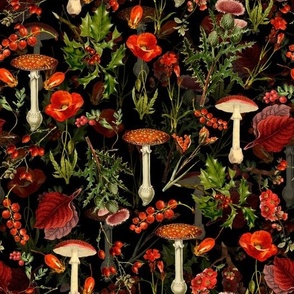 Multiple Glare Mushrooms Green Plants Dark Bokeh Background 4K HD Mushroom  Wallpapers  HD Wallpapers  ID 92321