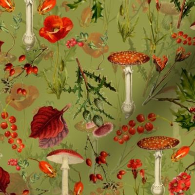 10" vintage botanical wildflowers fungus and berries on green Psychadelic  Mushroom Wallpaper