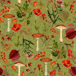 10" vintage botanical wildflowers fungus and berries on green Psychadelic  Mushroom Wallpaper