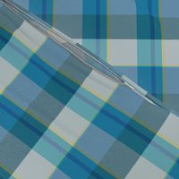 plaid-turquoise aqua