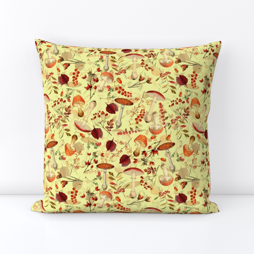 10" red vintage hand drawn botnical fungus mushrooms double on yellow Psychadelic  Mushroom Wallpaper