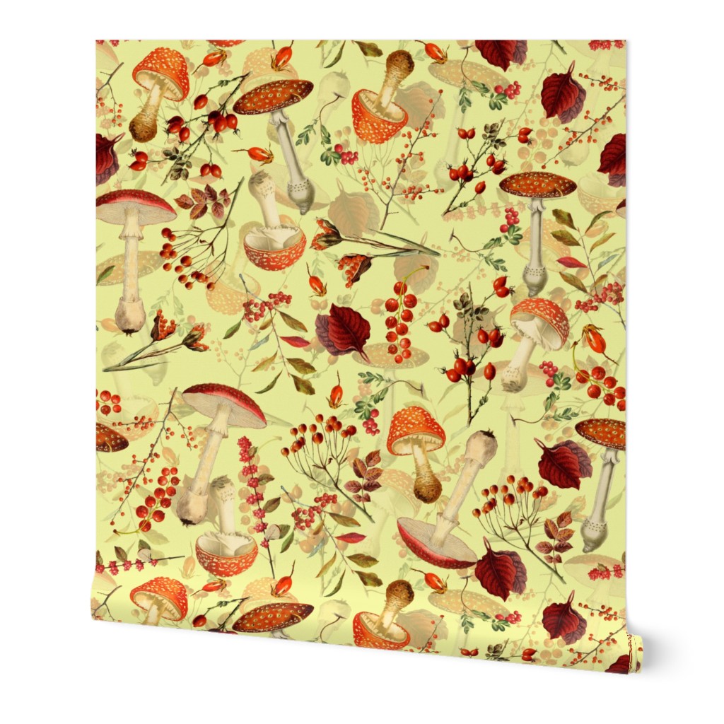 10" red vintage hand drawn botnical fungus mushrooms double on yellow Psychadelic  Mushroom Wallpaper