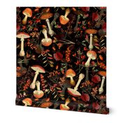 10" red vintage hand drawn botnical fungus mushrooms double on black Psychadelic  Mushroom Wallpaper