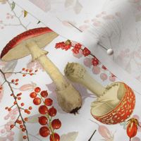 10" red vintage hand drawn botnical fungus mushrooms double on green Psychadelic  Mushroom Wallpaper