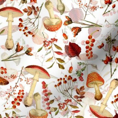 10" red vintage hand drawn botnical fungus mushrooms double on green Psychadelic  Mushroom Wallpaper