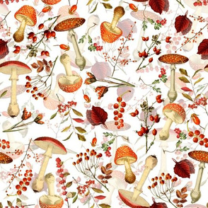 10" red vintage hand drawn botnical fungus mushrooms double on green Psychadelic  Mushroom Wallpaper