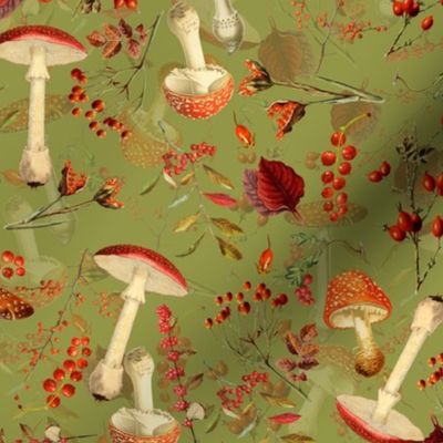 10" red vintage hand drawn botnical fungus mushrooms double on green Psychadelic  Mushroom Wallpaper