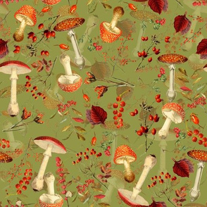 10" red vintage hand drawn botnical fungus mushrooms double on green Psychadelic  Mushroom Wallpaper