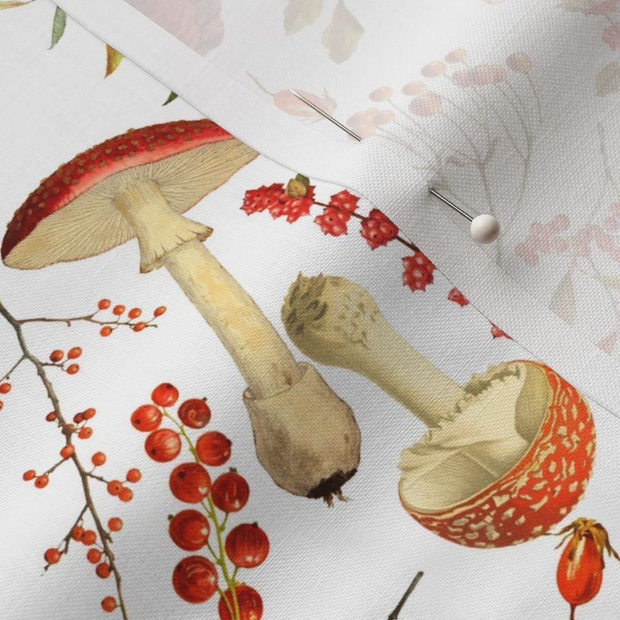 10” red vintage hand drawn botnical €fungus mushrooms double on  white Dramatic  Psychadelic  Mushroom Wallpaper