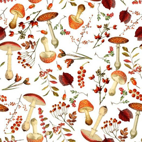 10” red vintage hand drawn botnical €fungus mushrooms double on  white Psychadelic  Mushroom Wallpaper