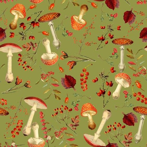 red vintage hand drawn botnical fungus mushrooms double on green Psychadelic  Mushroom Wallpaper