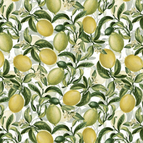 14 " Lemonade - Fresh hand drawn lemons on white