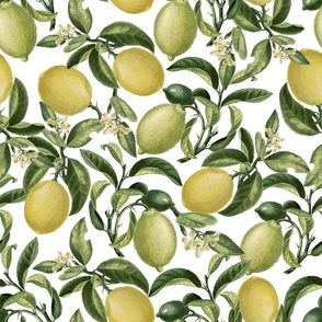 18 " Lemonade - Fresh hand drawn lemons on white
