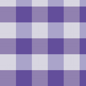 plaid---violet