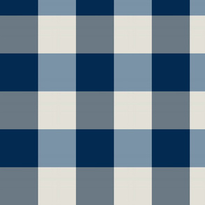 plaid-navy blue white