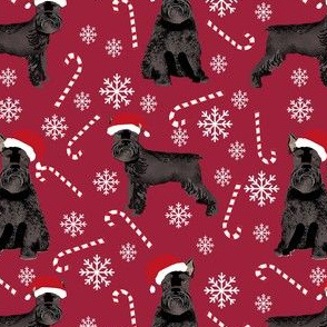 schnauzer dog christmas fabric - santa paws, black schnauzer, giant schnauzer fabric - cute dog, dogs, pet dog fabric - deep red