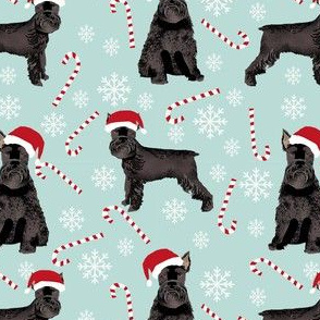 schnauzer dog christmas fabric - santa paws, black schnauzer, giant schnauzer fabric - cute dog, dogs, pet dog fabric - blue