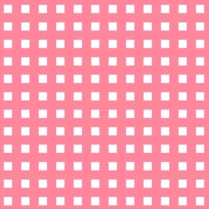 Square Grid Plaid // Papaya & White