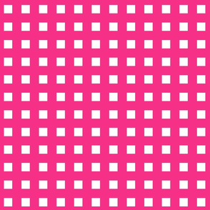 Square Grid Plaid // Hot Pink & White