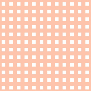 Square Grid Plaid // Peachy & White