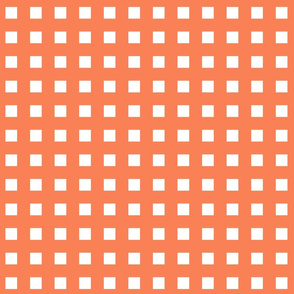 Square Grid Plaid // Persimmon & White