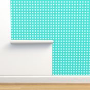 Square Grid Plaid // Turquoise & White