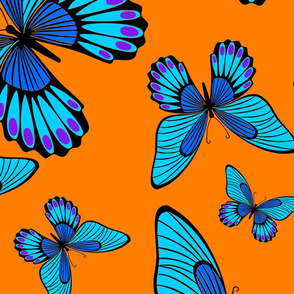 Blue Morpho butterflies on orange