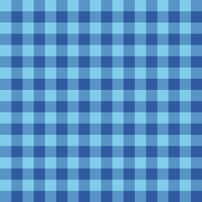 plaid-blue-poppies