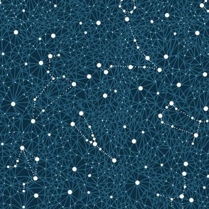 Zodiac constellations night sky