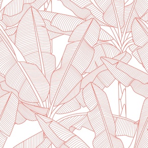 Banana Palms-Jumbo_White Leaves_Coral Lines-Bg White