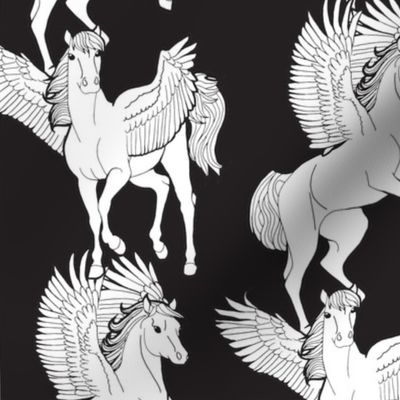 Pegasus Black