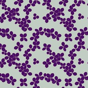 Hydrangea Annabel - purple