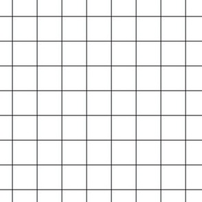 1 inch black and white grid || White with Blackest Thick grid