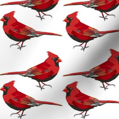 Cardinals