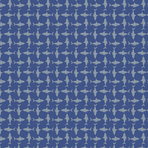 shark pattern 3