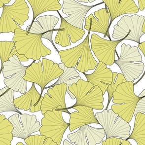 ginkgo leaves in the Spring - yellow - green
