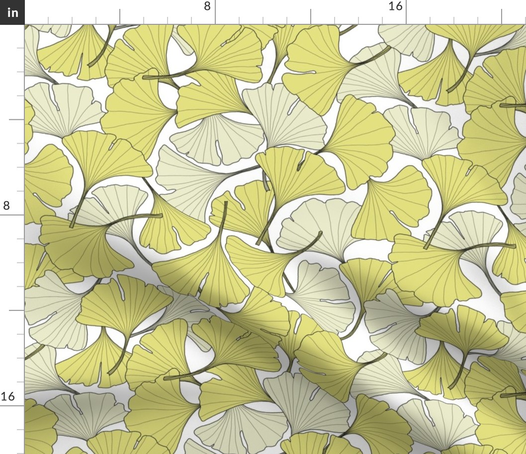 ginkgo leaves in the Spring - yellow - green