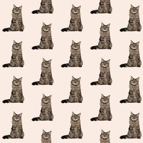 maine coon cat fabric - maine coon fabric, maine coon pattern, cat fabric, cat lady fabric, cat lady design - tan