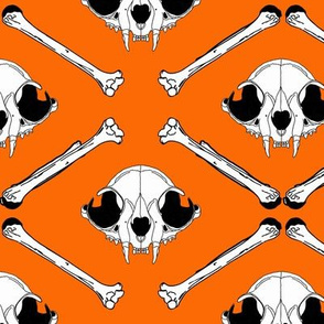 cat skull2 orange