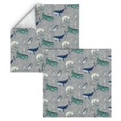 Atlantis Whales (grey) MED 