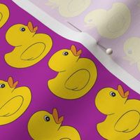 medium rubber duckies on purple magenta