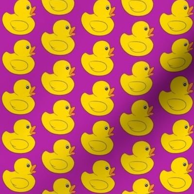 medium rubber duckies on purple magenta