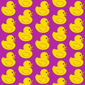 medium rubber duckies on purple magenta