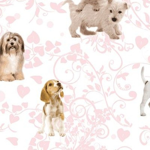 Puppy Love - My Dog, My Valentine.